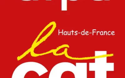 Restauration : Xavier BERTRAND répond au questionnement de la CGT Hauts-de-France