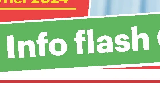 Info flash CSEE