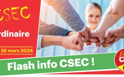 Flash Info CSEC des 27 et 28 mars 2024